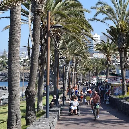 Veronicas Arona (Tenerife)