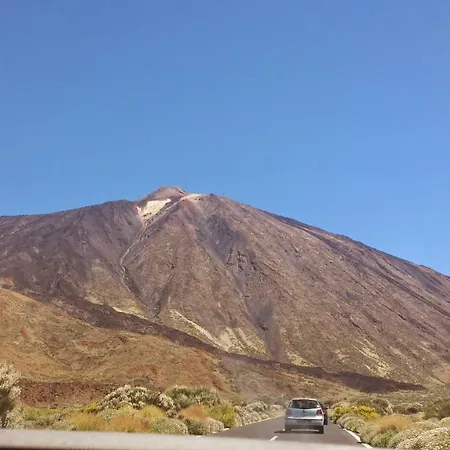 Veronicas Arona (Tenerife)